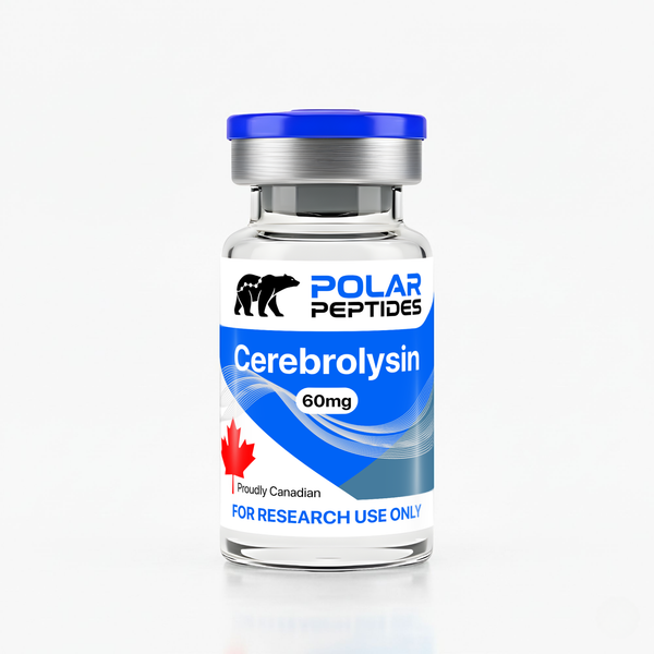 l carnitine 500 mg benefits Healthy Nutrition L Carnitine Capsules for Men & Women | L Carnitine 500mg | Post Workout Recovery Price in India l carnitine 500 mg benefits Healthy Nutrition L Carnitine Capsules for Men & Women | L Carnitine 500mg | Post Workout Recovery Price in India