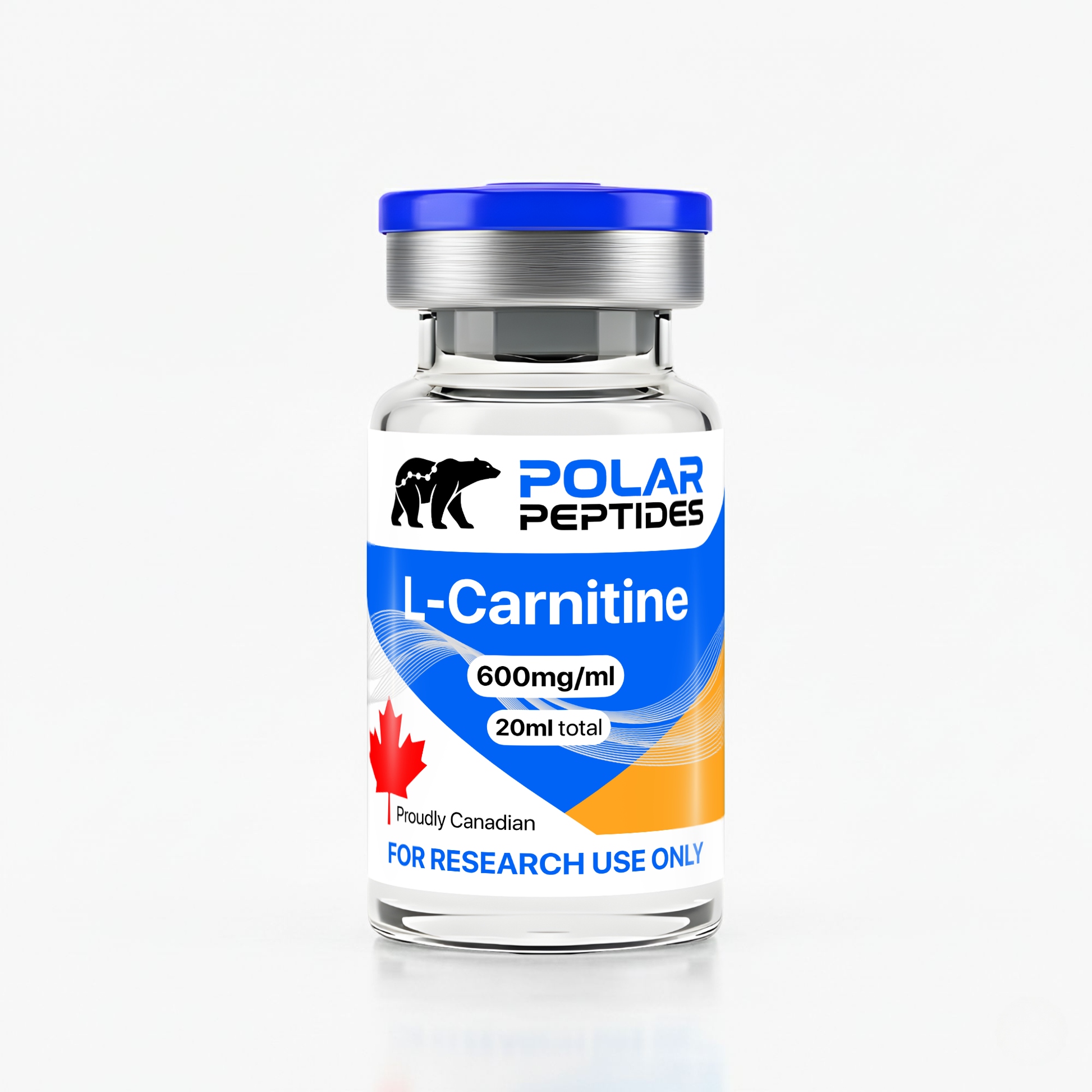 l carnitine libido Acetyl L Carnitine Libido: Exploring the Link for Energy, Drive, and Male  Wellness main image 0